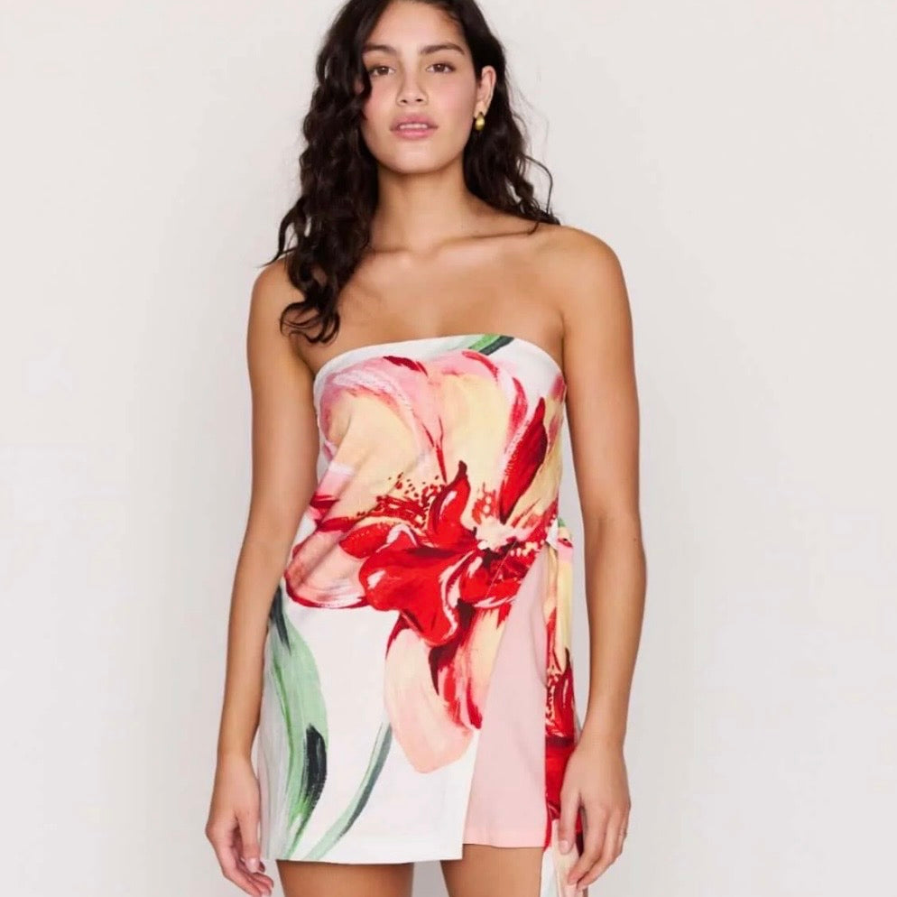 MINKPINK Marco Dress