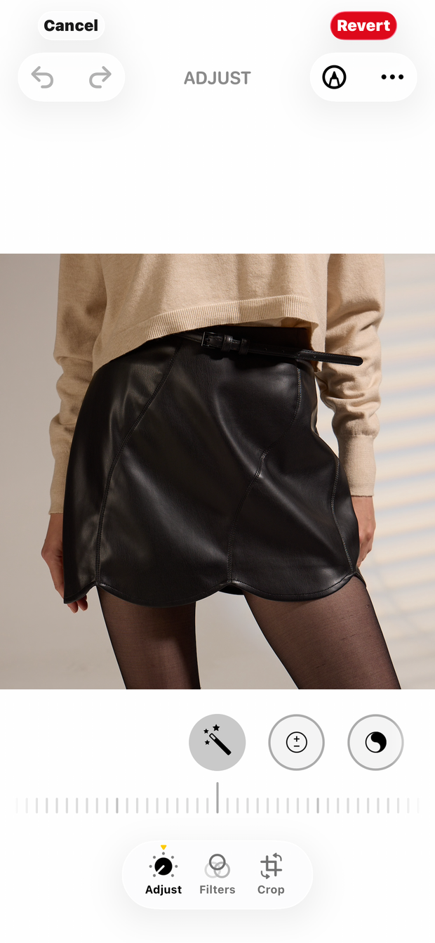 DELUC Aerosmith Skirt