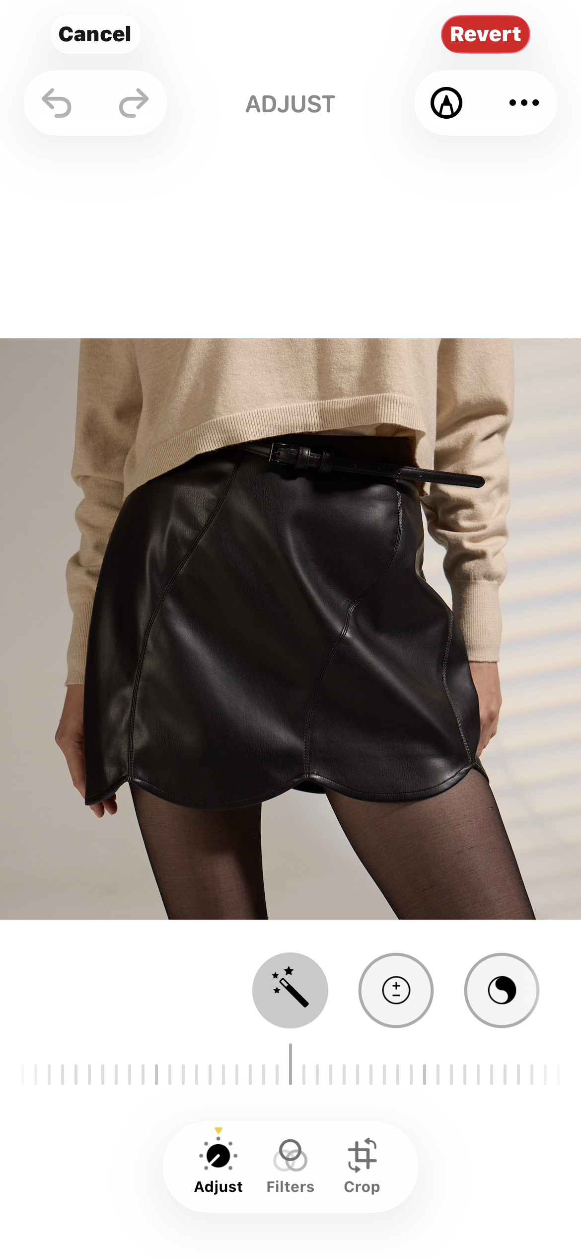 DELUC Aerosmith Skirt